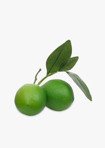 faux lime cluster w/leaf