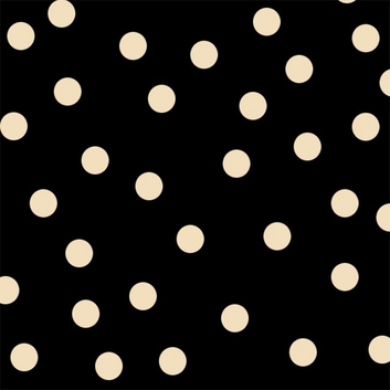 villa overshirt silk | PRE ORDER